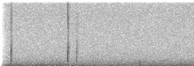 Дятел-смоктун білочеревий - ML614159829