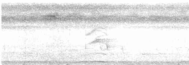 holub tonžský - ML614165252