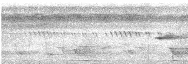 holub tonžský - ML614165264