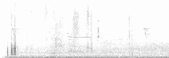 White-headed Woodpecker - ML614171202