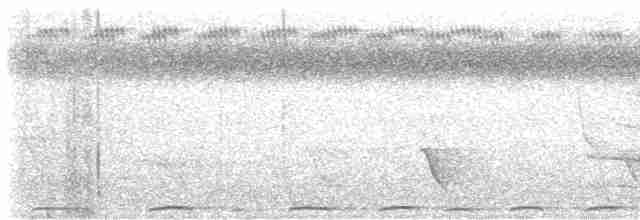holub tonžský - ML614173023