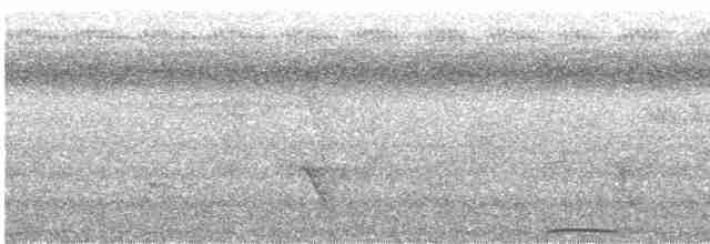 holub tonžský - ML614173032