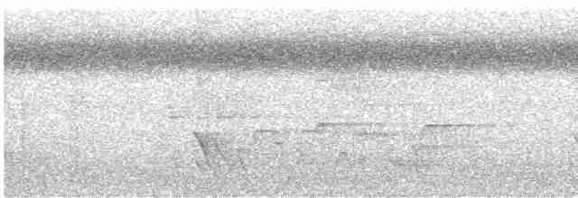 Pasifik Bülbülü - ML614173156