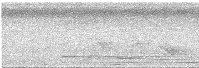 holub tonžský - ML614174871