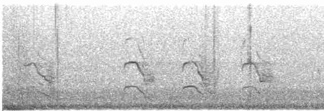 Sumru (longipennis) - ML614175136