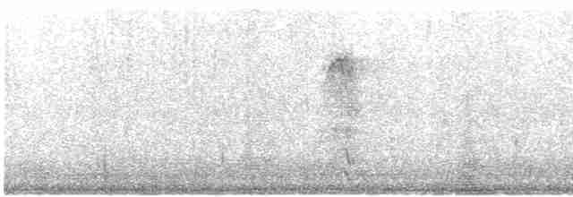 puštík vousatý (ssp. lapponica) - ML614175326