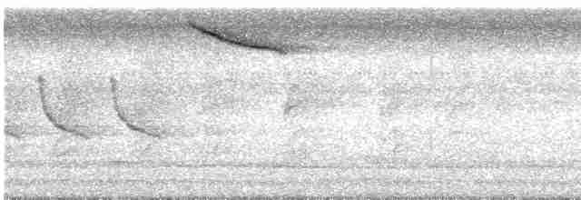 Gray-streaked Flycatcher - ML614175684