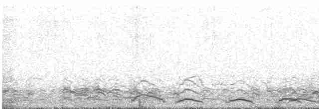 Beltxarga oihularia - ML614176813