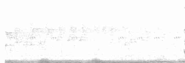kalypta rubínohrdlá - ML614177367