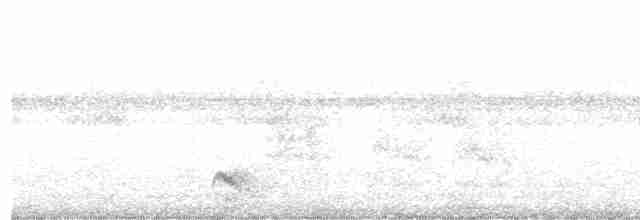 Planalto Gri Karıncaavcısı - ML614182222
