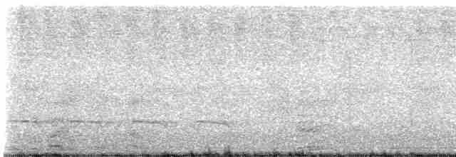 Weißbinden-Ameisenvogel - ML614183190