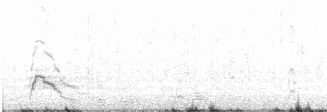 Canard siffleur - ML614186157