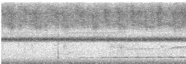 Streifenbrust-Ameisendrossel - ML614187027