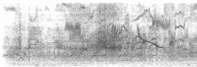 Al Kanatlı Karatavuk (californicus/mailliardorum) - ML614187477