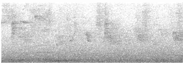 Eurasian Collared-Dove - ML614189682