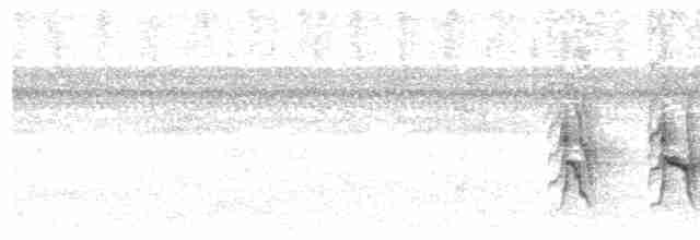 Orangebrust-Bündelnister - ML614190529
