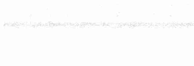 Белоухий крапивник - ML614190571