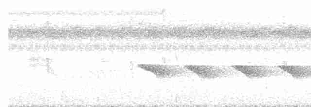 Çıplak Alınlı Karıncakuşu - ML614196316