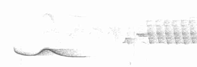 Краснокрылая кустарница - ML614199826