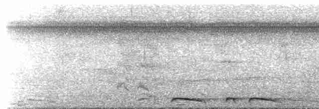 holoubek šupinkový - ML614200580