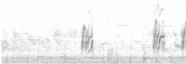 Güneyli Sert Kanatlı Kırlangıç - ML614202440