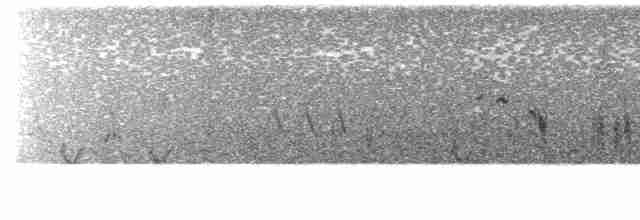 australlerke (javanica gr.) - ML614203823