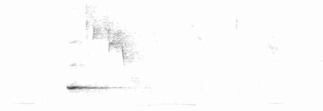 Tinamou à petit bec - ML614204214