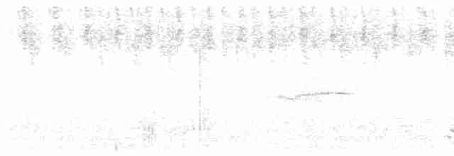 ミカヅキオオガシラ（striata） - ML614204457