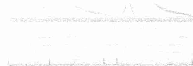 gråvingetrompetfugl - ML614205909