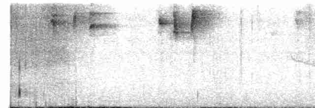 Танагра плямиста - ML614205912