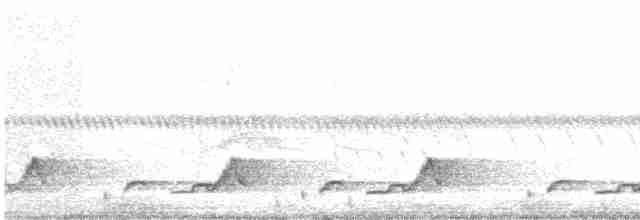 Schwarzkehl-Nachtschwalbe - ML614209895