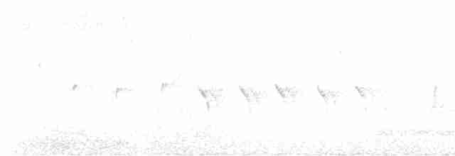 Шишкар ялиновий - ML614210115