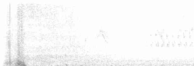křivka bělokřídlá - ML614210647