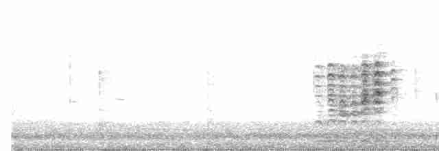 Australasian Grebe - ML614211333
