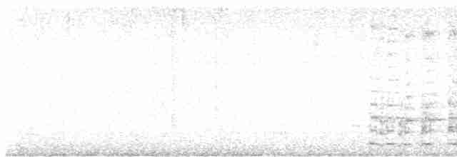 Common Gallinule - ML614211486
