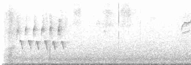 Длиннохвостый крапивник - ML614212855