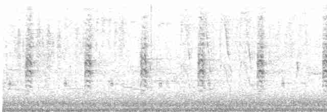 Rascón de Ridgway (yumanensis) - ML614213051