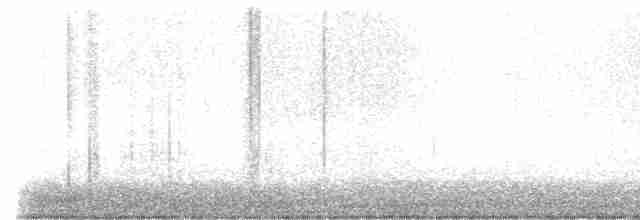 strakapoud bělohlavý - ML614213937
