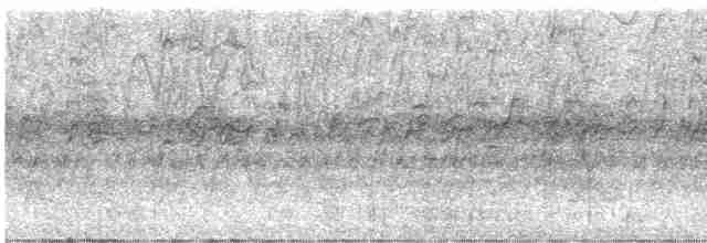 Lesser Whistling-Duck - ML614216953