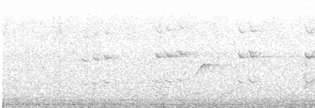 American Kestrel (Cuban) - ML614218856