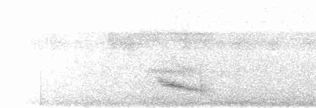 Weißkehl-Ameisenvogel - ML614220849