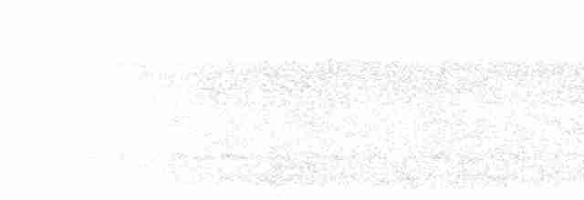 Zeledon Karıncakuşu - ML614224168