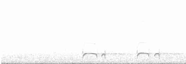 White-eared Puffbird - ML614224420