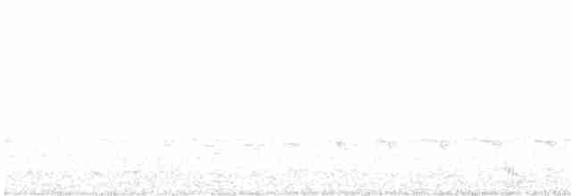 výreček andský (ssp. hockingi) - ML614224545