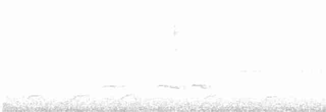 Weißflecken-Ameisenpitta - ML614225443