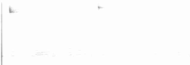 White-crested Elaenia - ML614225747