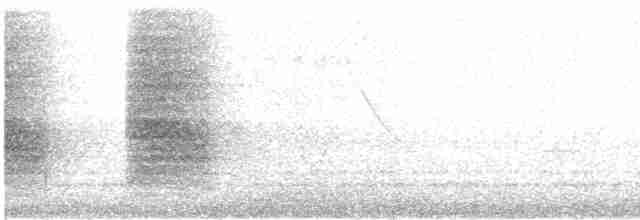 furuskrike (stelleri gr.) - ML614228131