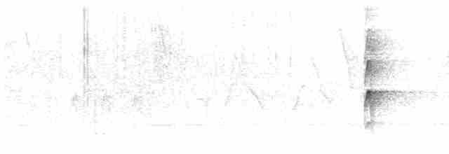 strakapoud velký (ssp. cabanisi/stresemanni) - ML614229827