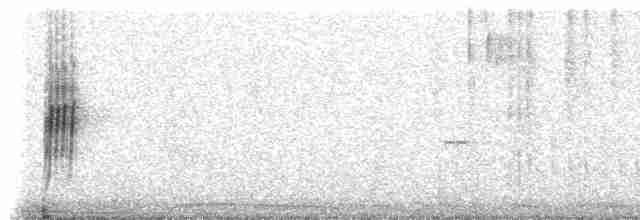 Поплітник каролінський (підвид albinucha/subfulvus) - ML614230560