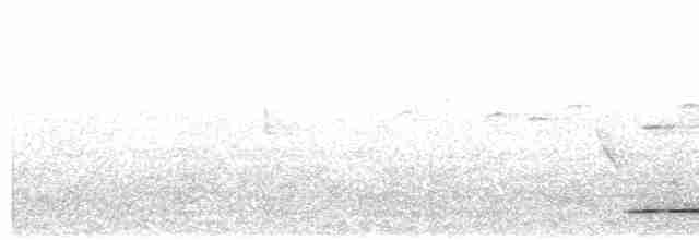 Волнистый скрытохвост - ML614231312